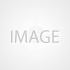 Pfizer licking its lips as Metsera presents positive weight loss data – The Pharma Letter